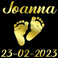 Geboorte sticker Deluxe (Goud/Zilver)